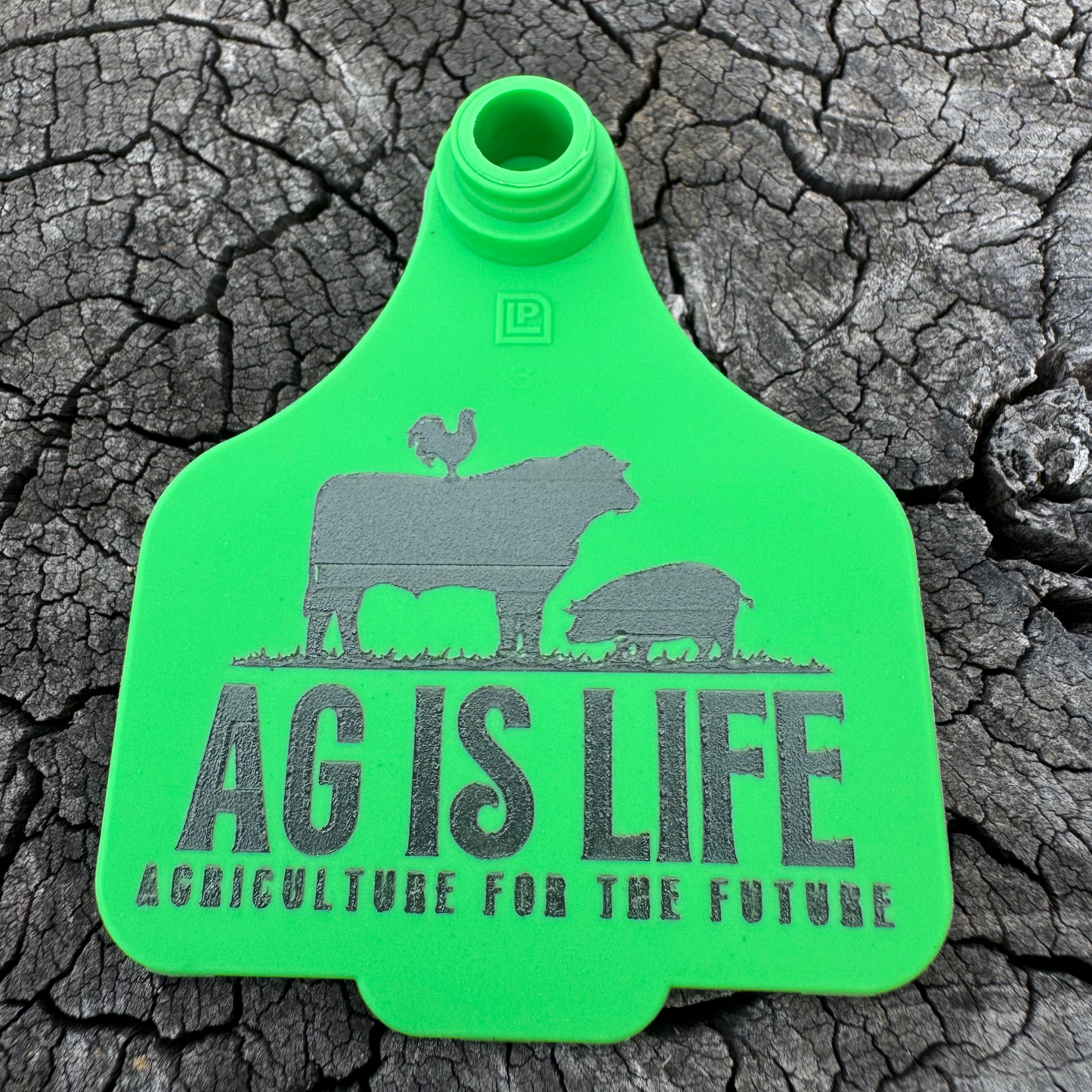 Green Cattle Tag Key Ring