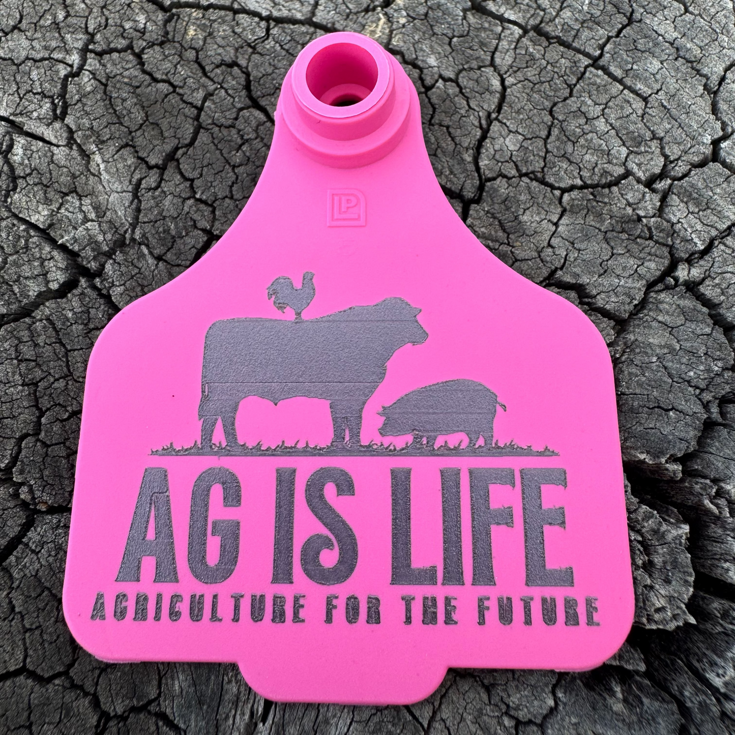 Pink Cattle Tag Key Ring