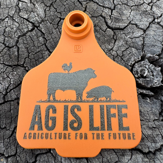 Brown Cattle Tag Key Ring