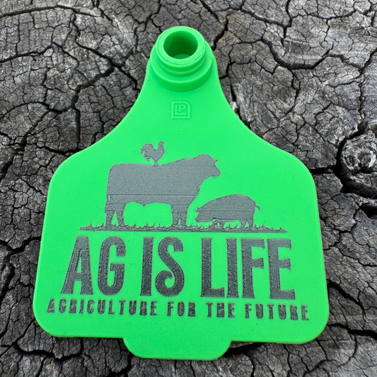 Green Cattle Tag Key Ring